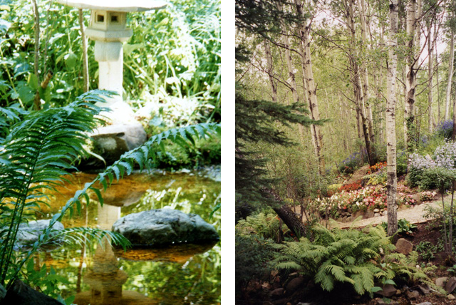 Childhood Garden